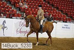 14buck_5230 proof