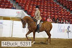 14buck_5231 proof
