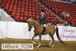 14buck_5234 proof