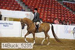 14buck_5235 proof