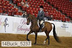 14buck_5237 proof
