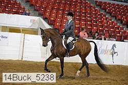 14buck_5238 proof