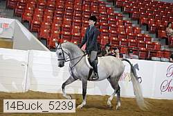 14buck_5239 proof