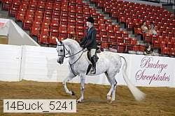 14buck_5241 proof