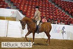 14buck_5243 proof