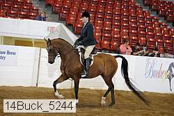 14buck_5244 proof