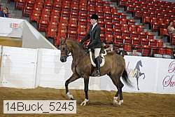 14buck_5245 proof