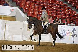 14buck_5246 proof