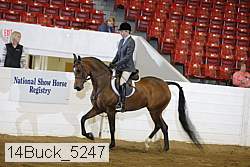14buck_5247 proof