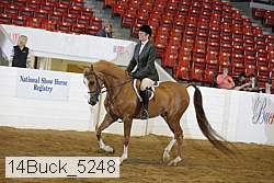 14buck_5248 proof