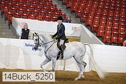 14buck_5250 proof