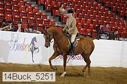 14buck_5251 proof