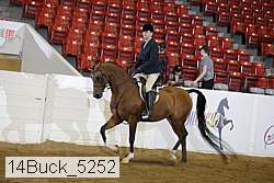 14buck_5252 proof