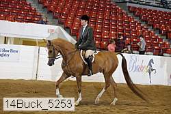 14buck_5253 proof