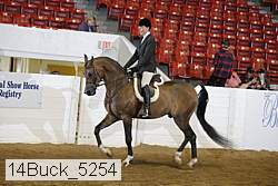 14buck_5254 proof