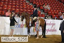 14buck_5256 proof