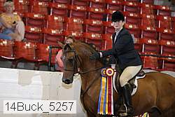 14buck_5257 proof
