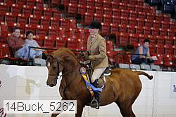14buck_5262 proof