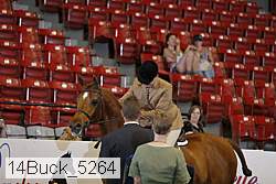 14buck_5264 proof
