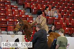 14buck_5266 proof