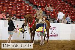 14buck_5267 proof