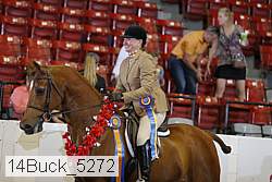 14buck_5272 proof