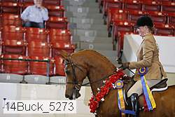 14buck_5273 proof