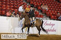 14buck_5283 proof