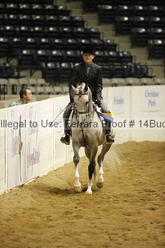 Proof 14buck_5284