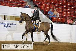 14buck_5285 proof