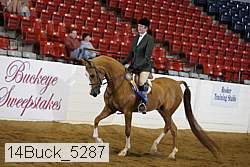14buck_5287 proof