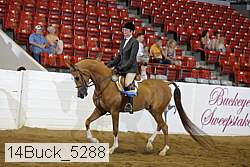 14buck_5288 proof