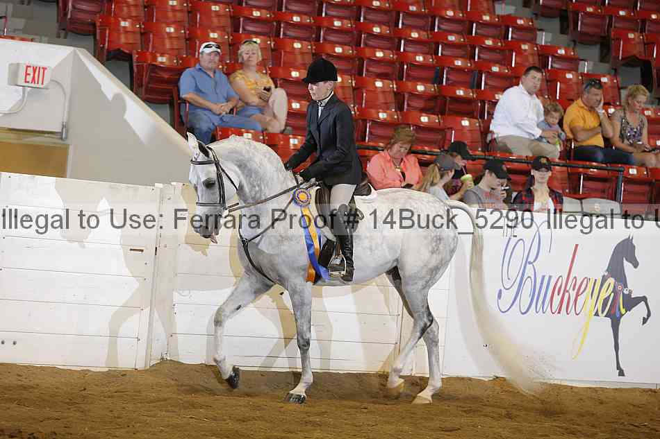 Proof 14buck_5290