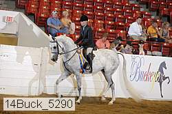 14buck_5290 proof