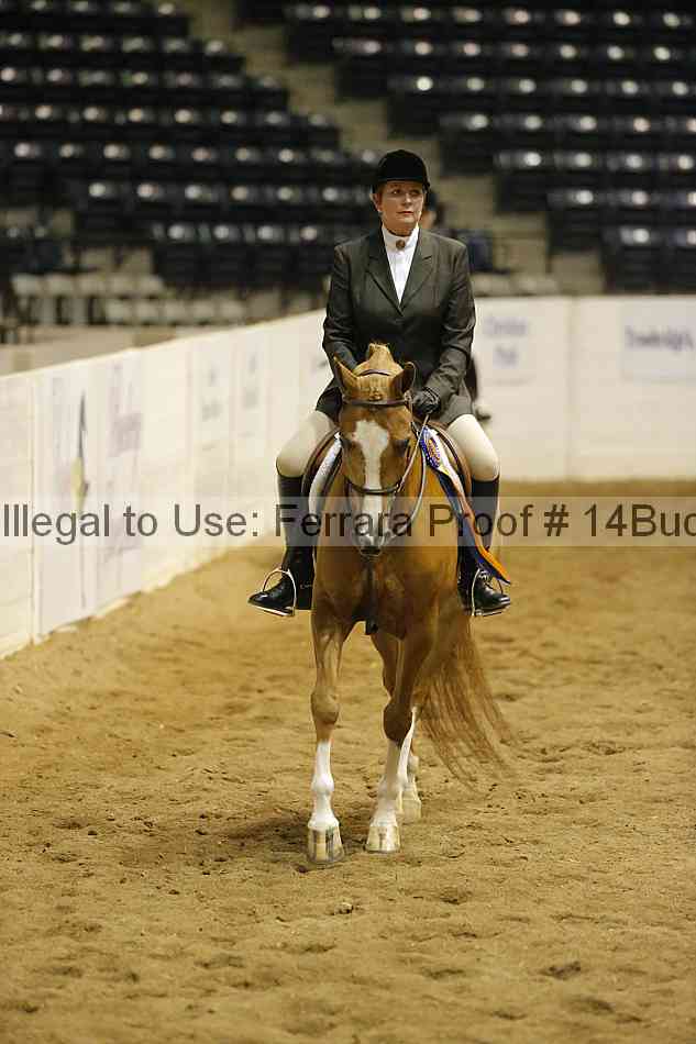Proof 14buck_5293