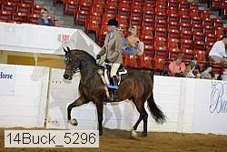 14buck_5296 proof