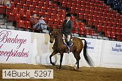 14buck_5297 proof