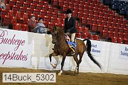 14buck_5302 proof