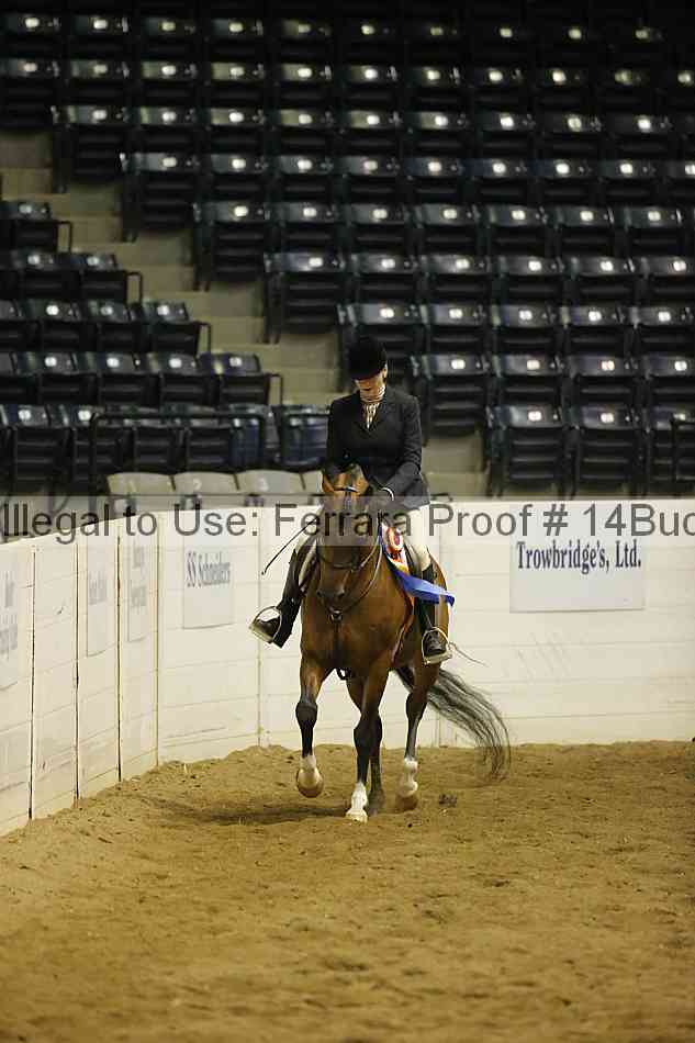 Proof 14buck_5303