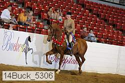 14buck_5306 proof