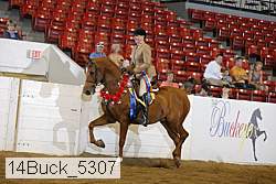 14buck_5307 proof
