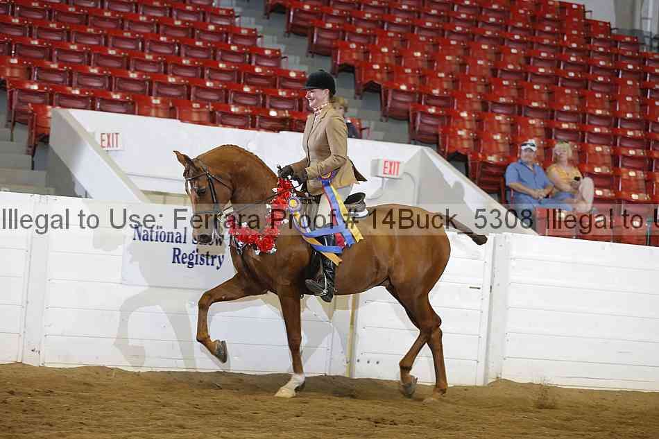 Proof 14buck_5308