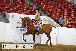 14buck_5308 proof