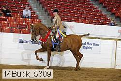 14buck_5309 proof
