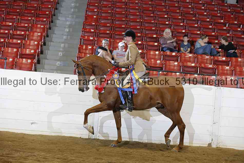 Proof 14buck_5310
