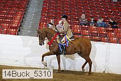 14buck_5310 proof