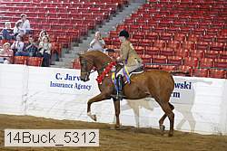 14buck_5312 proof