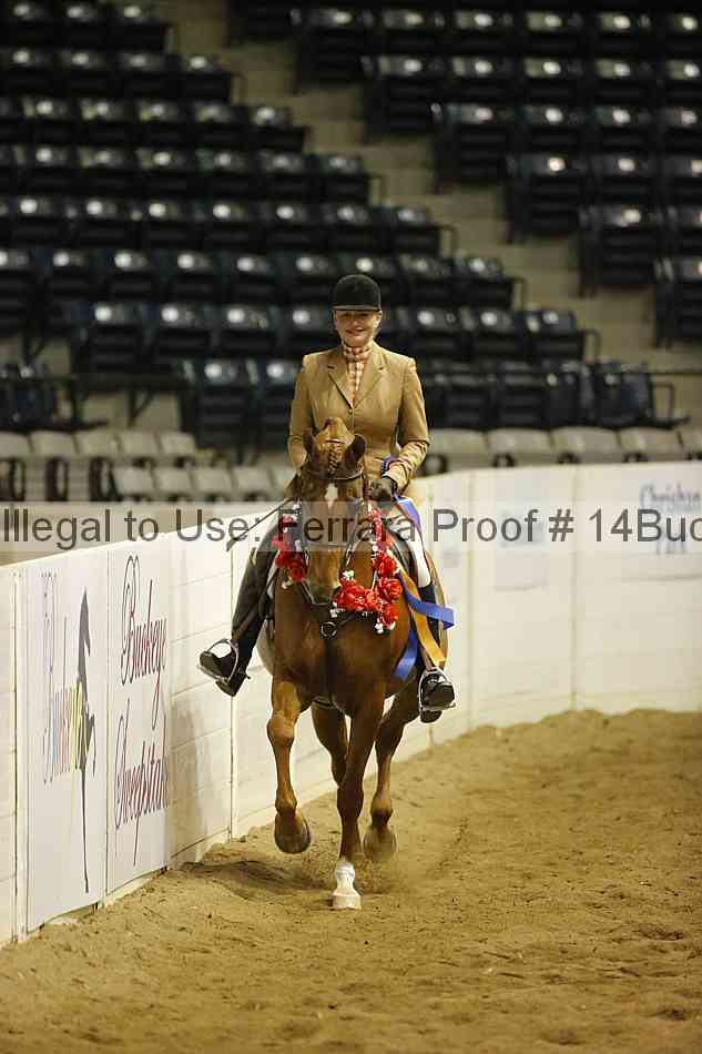 Proof 14buck_5313