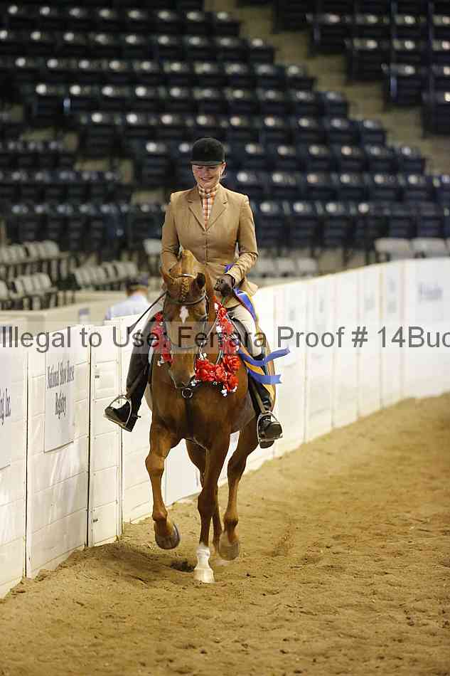 Proof 14buck_5315