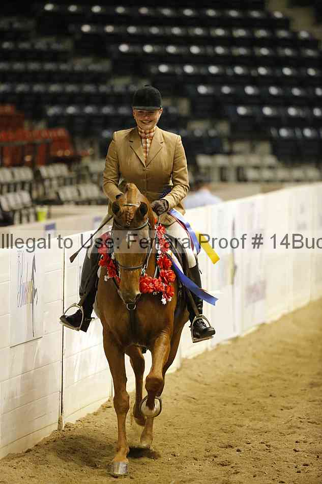 Proof 14buck_5316